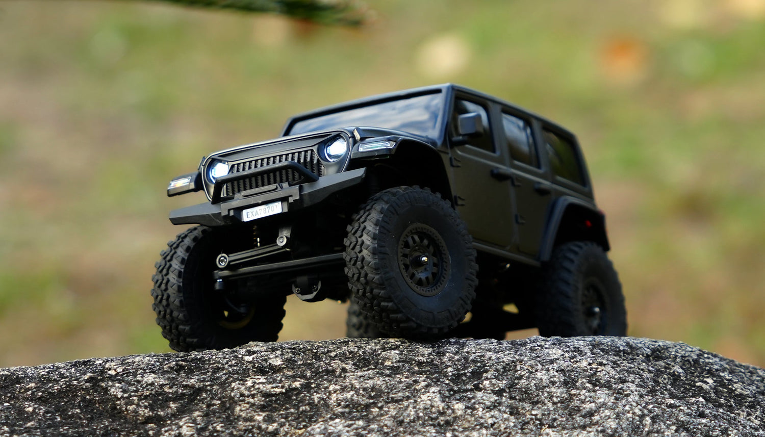 Voitures et camions RC