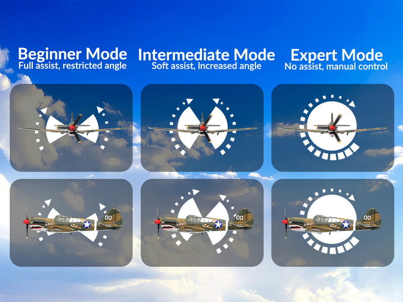 VOLANTEXRC Warhawk P40 (RTF) 4CH 400mm pour débutant (15.7'') 76113