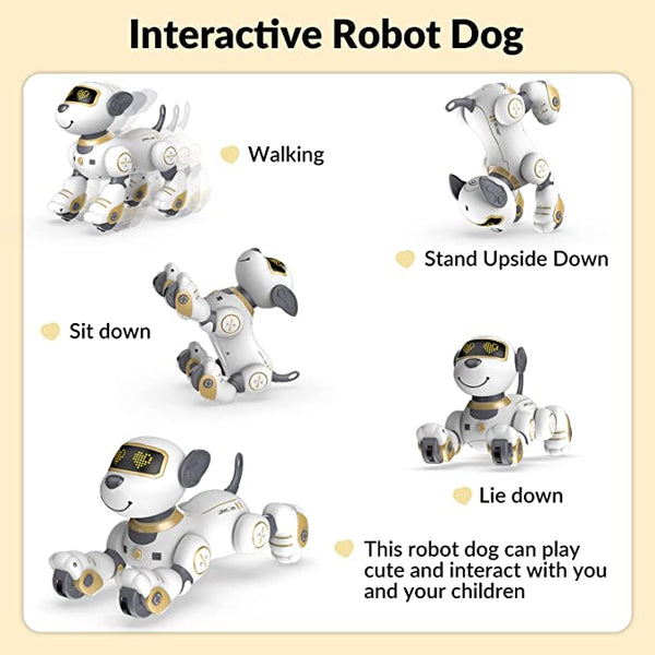 STEMTRON Programmable Interactive & Smart Dancing Remote Control Robot Dog Toy for Kids(Gold).